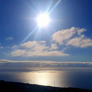 El Gato Genial , Santa Cruz de Tenerife España